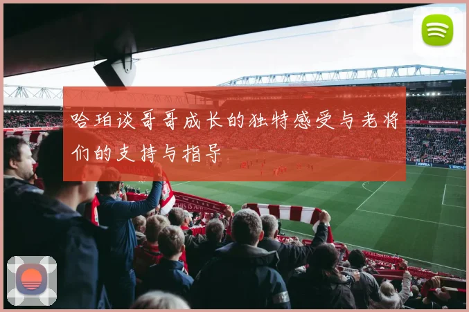 哈珀谈哥哥成长的独特感受与老将们的支持与指导